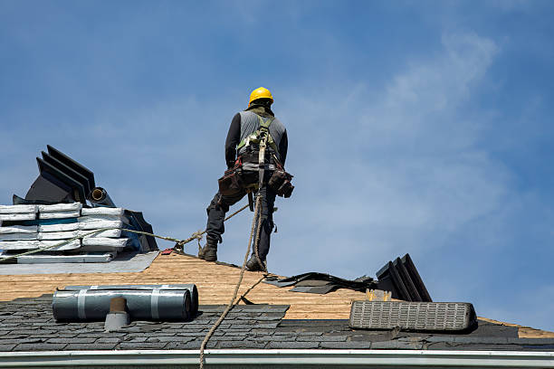 Professional Storm Damage Roof Repair technician working in Bloomfield, MO